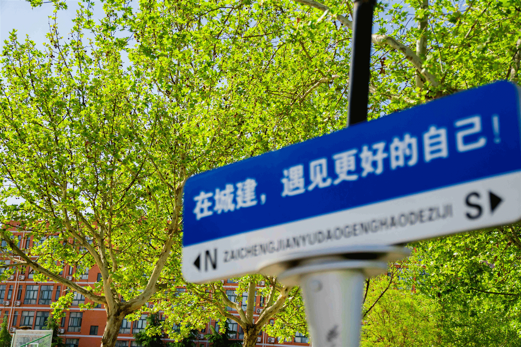 以绿色发展理念 赋能育人创新——金叶科教集团教育事业两校生态环境建设获省级认可