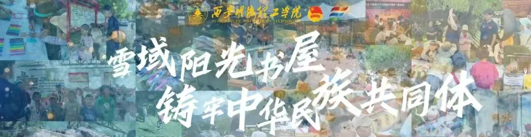 金叶集团 | 赋能青春实践共绘雪域民族团结新图景